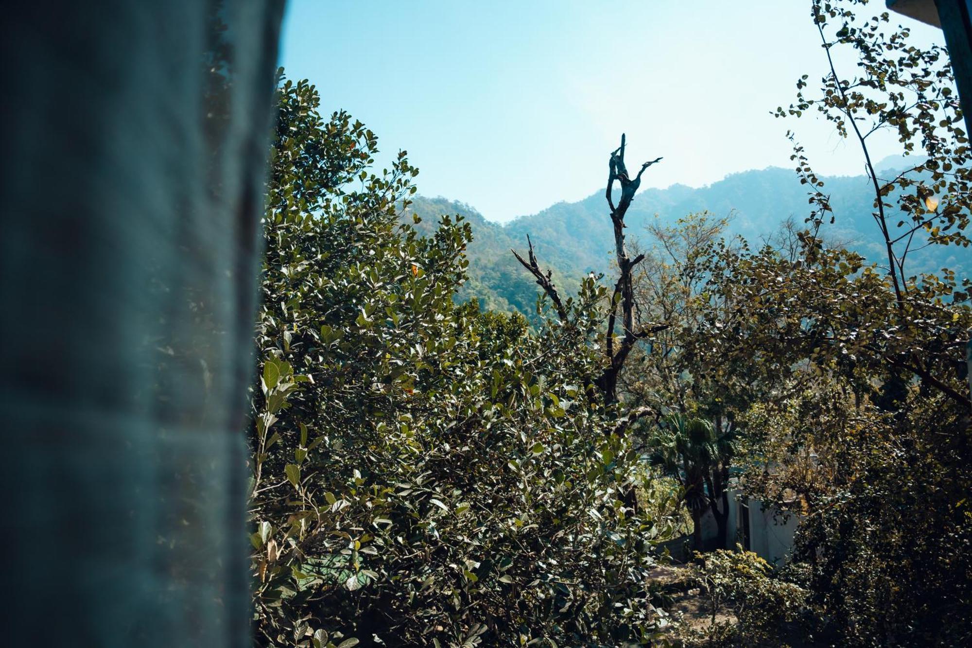 Art Bliss Hostel Rishikesh Bagian luar foto